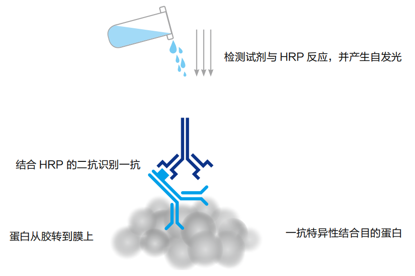 微信图片_20240624161213.png