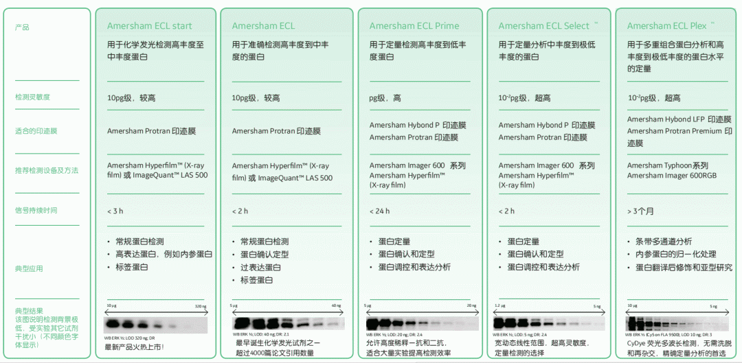 微信图片_20240624161216.png